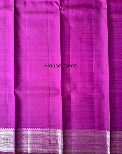 Pure handloom kanjivaram silk aqua green saree