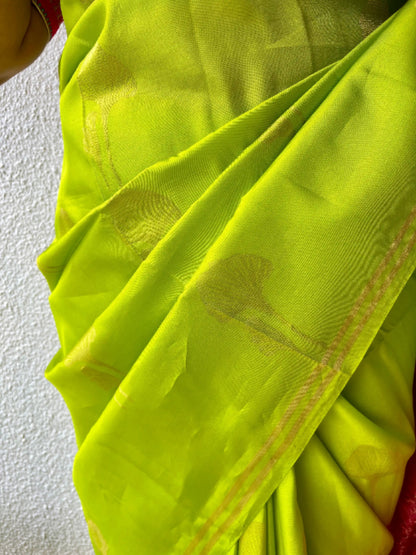 Kanjivaram silk lemon green sari